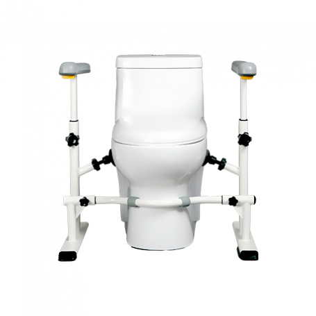 Smart Toilet Frame