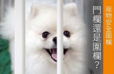 Pet Safety: How to decide whether to use a pet fence or a safety gate?