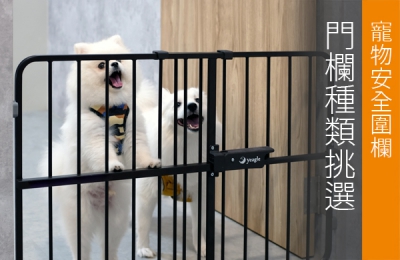Pet Safety: Choosing the Right Gate