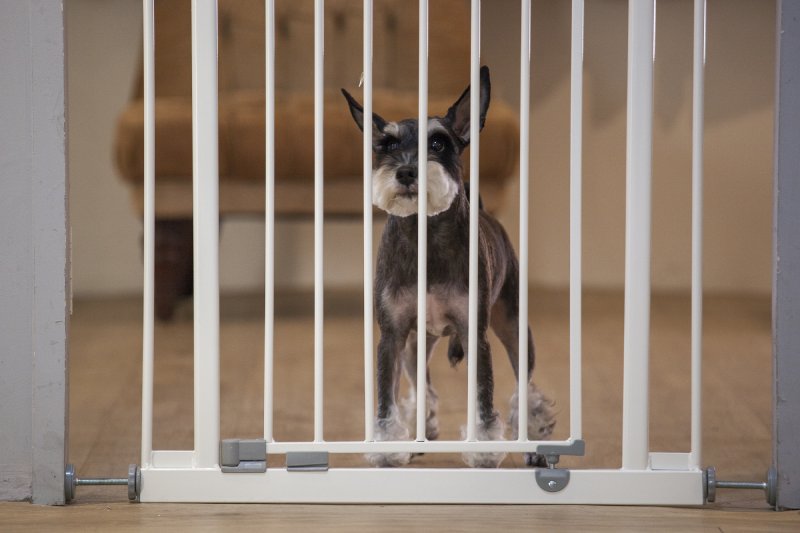 Multi Use Gate Tall ESG48-Tall - Pressure Fit Dog Barrier