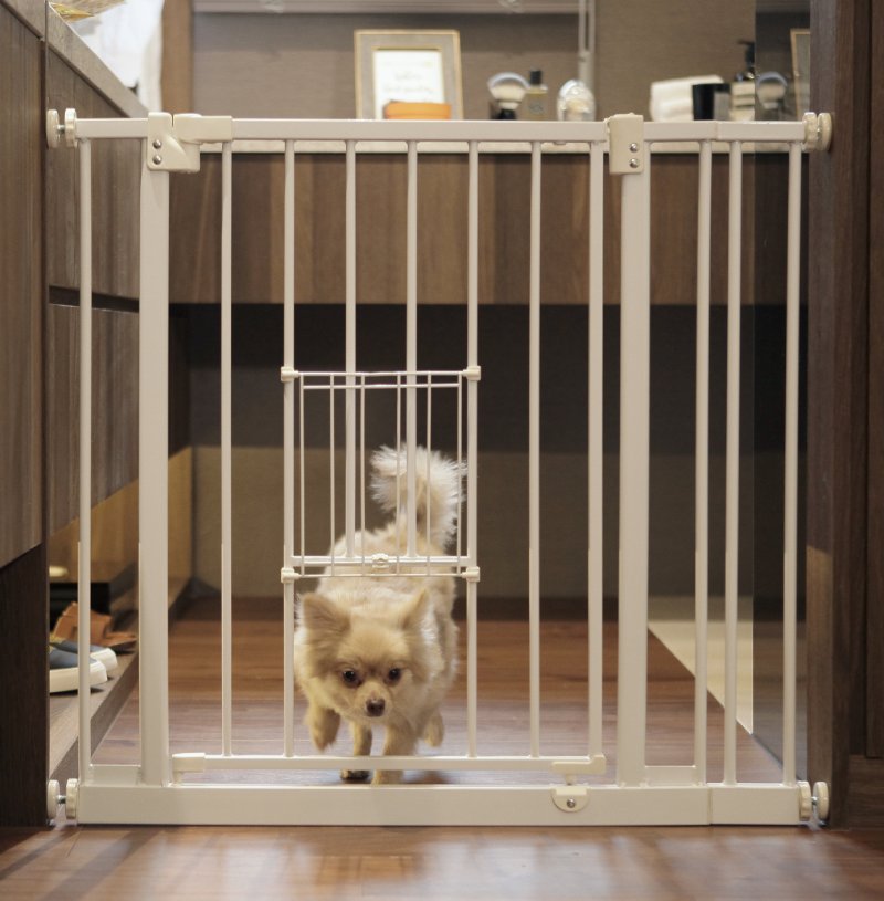 Gate Defining Household Boundaries for Dogs