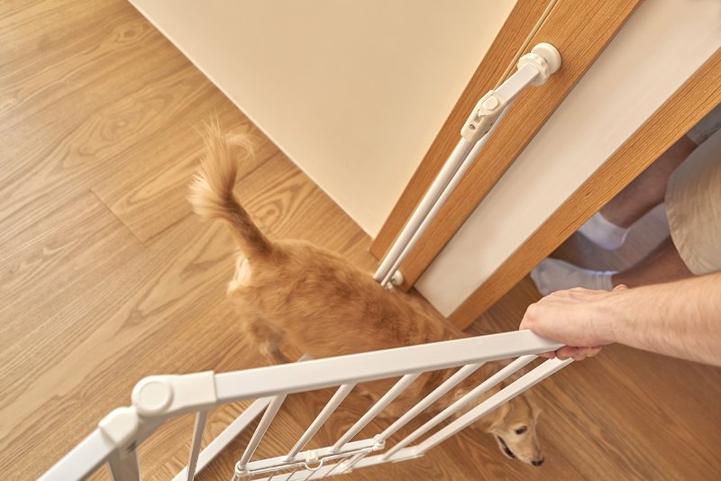 One-Hand Operation and Stay-Open Feature