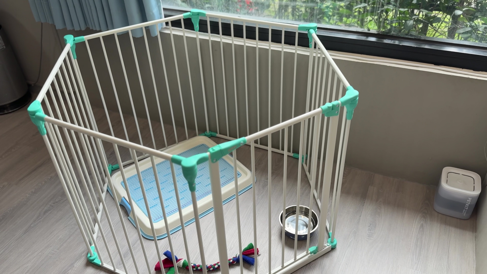 Pet Trainer Recommended for Puppy Toilet Training