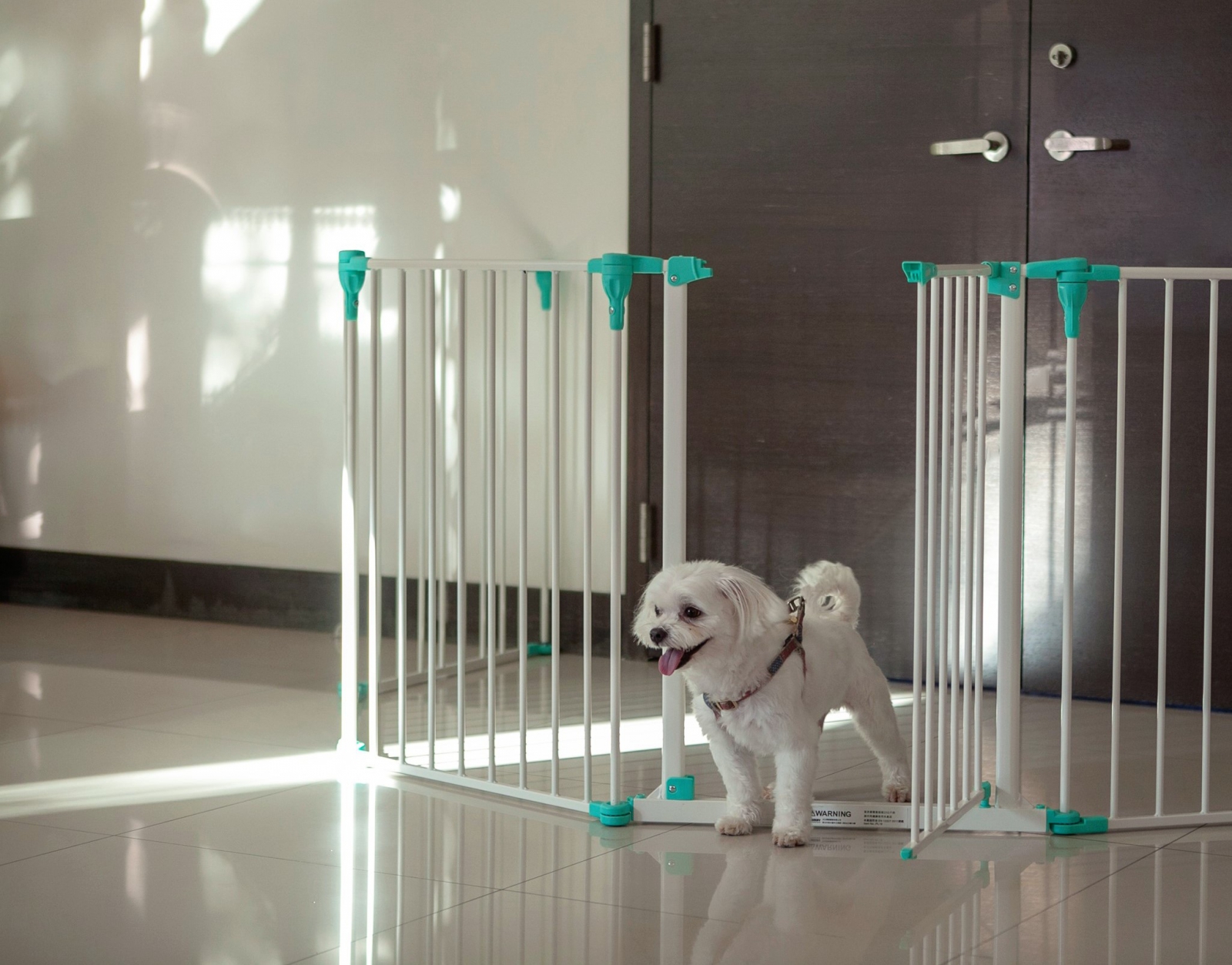 Walk-Through Gate with Manual Self-Closing System