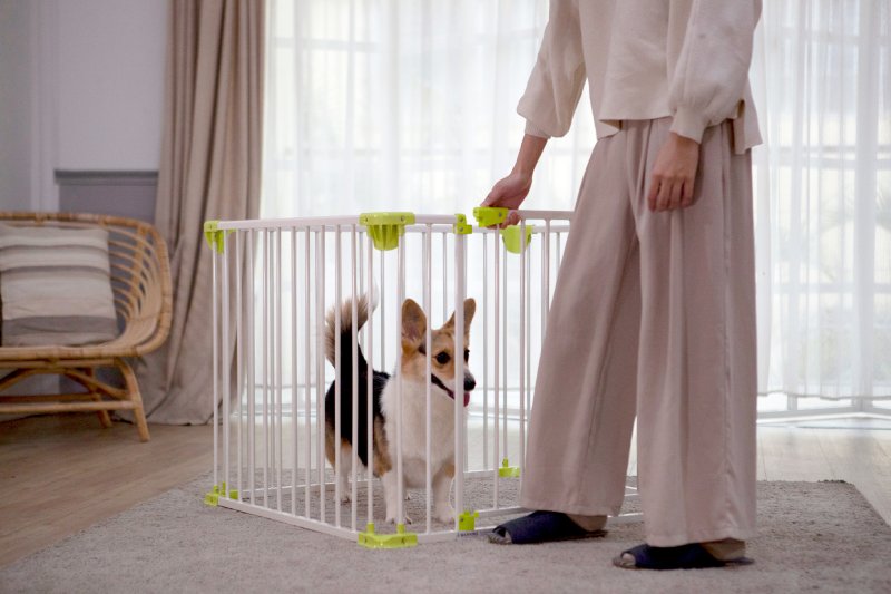 Four-Panel Enclosure with Built-In Gate