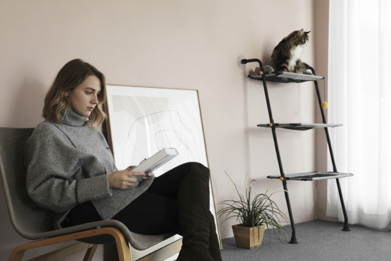 Catco Live - Floor-Standing Cat Hammock Frame