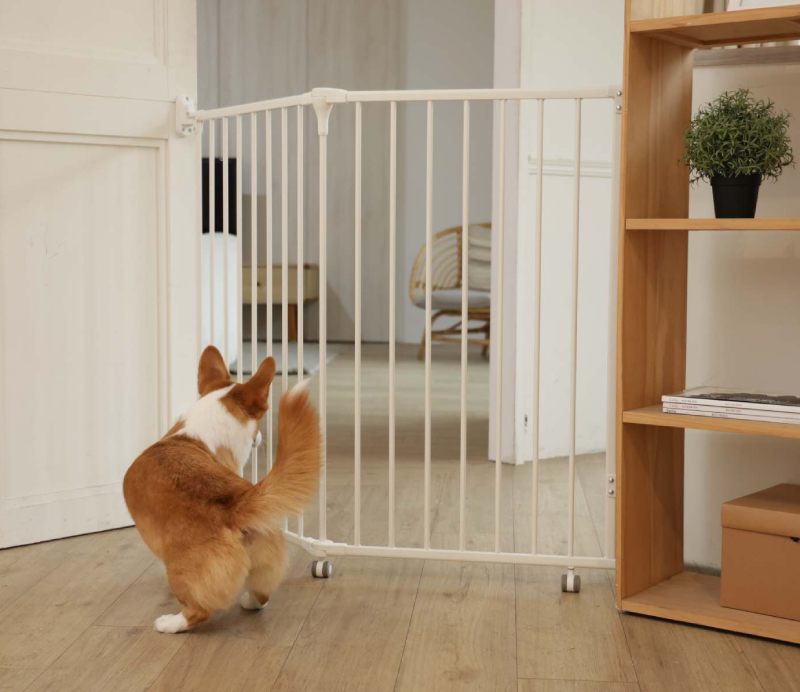 Rolling Guard Covering Side-by-Side Indoor Openings