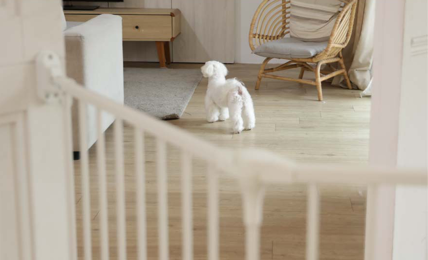 Extra Tall 94.5cm Guard for Large Dogs